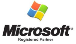 Microsoft Partner webquake Professional Services GmbH