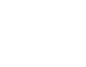 Cisco Partner webquake Professional Services GmbH
